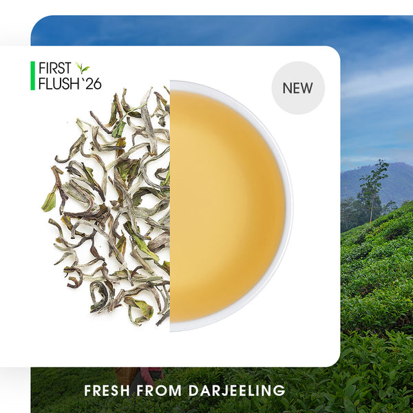 Buy 2026 Darjeeling Exotic Moonlight White Tea Online | Teabox