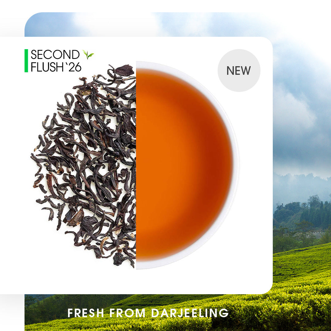 Buy Darjeeling Tea Online | 2026 Harvest | Teabox