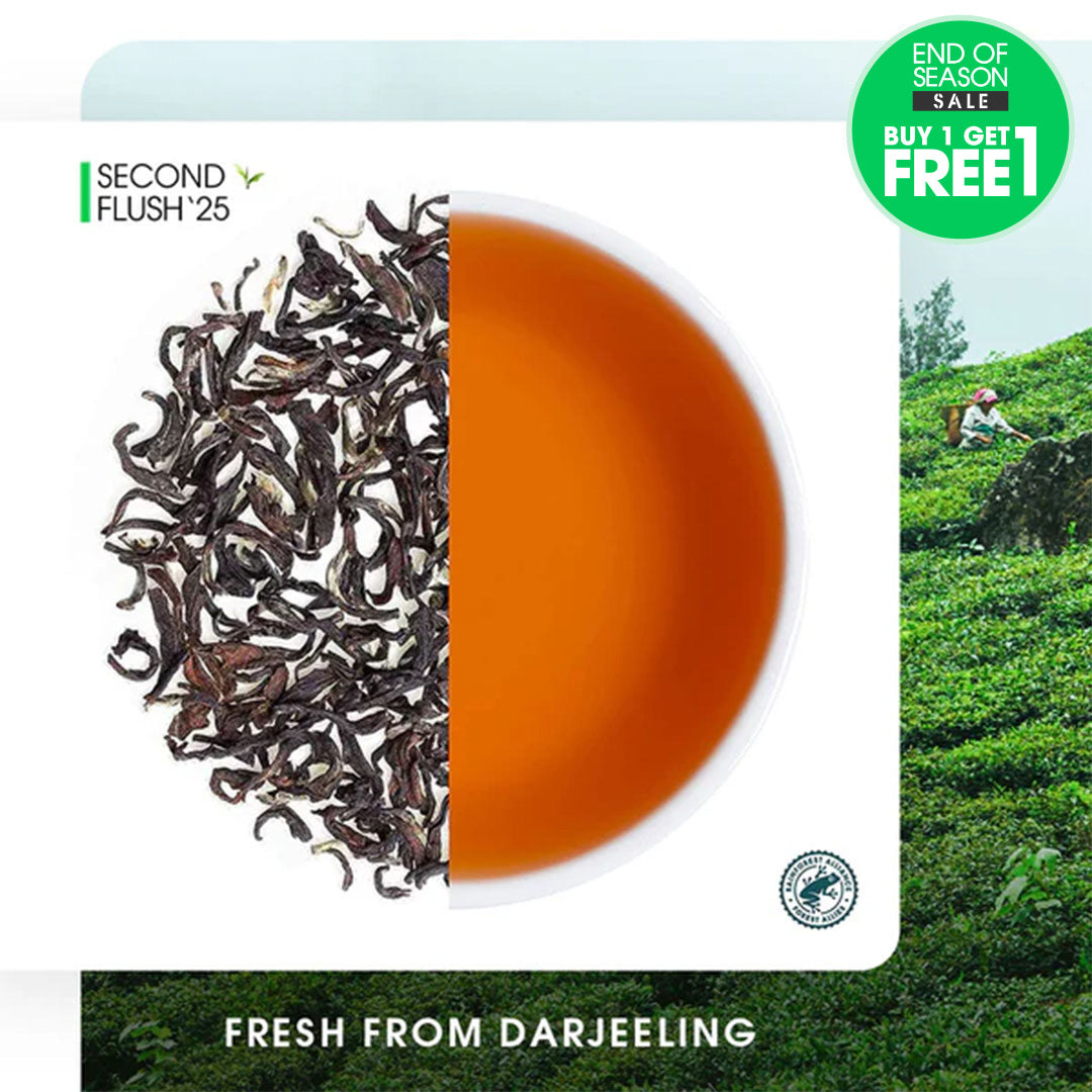 Darjeeling Jungpana Summer Muscatel Black