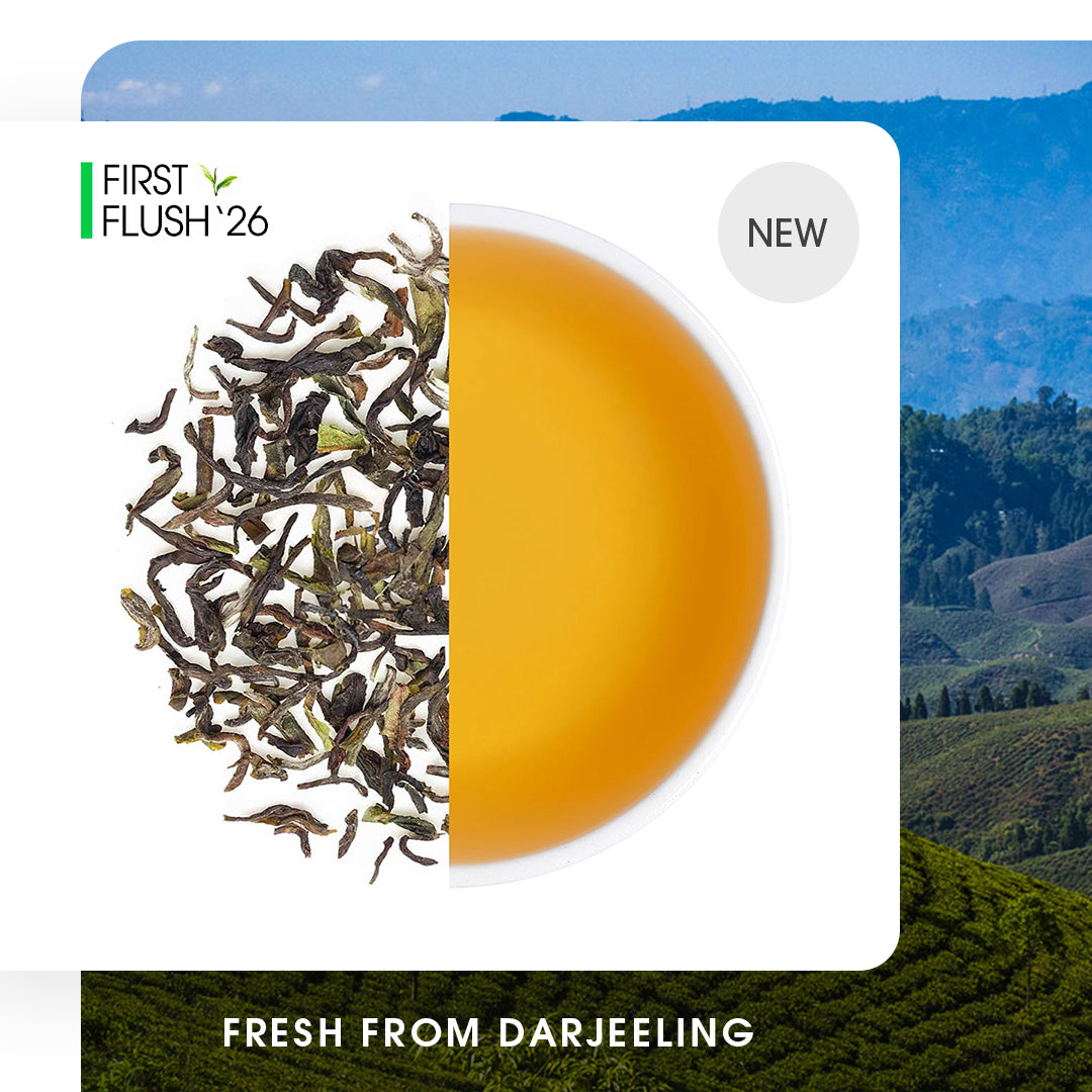 Darjeelingページ Buy Darjeeling Tea Online | 2026 Harvest | Teabox