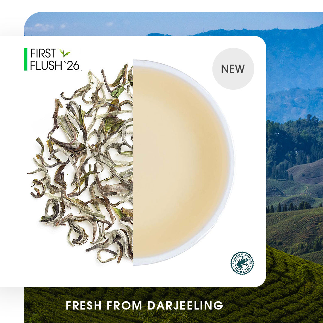 Darjeeling Margaret's Hope Spring Moonlight White