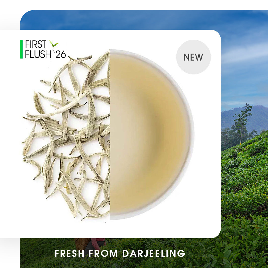 Buy Darjeeling Tea Online | 2026 Harvest | Teabox