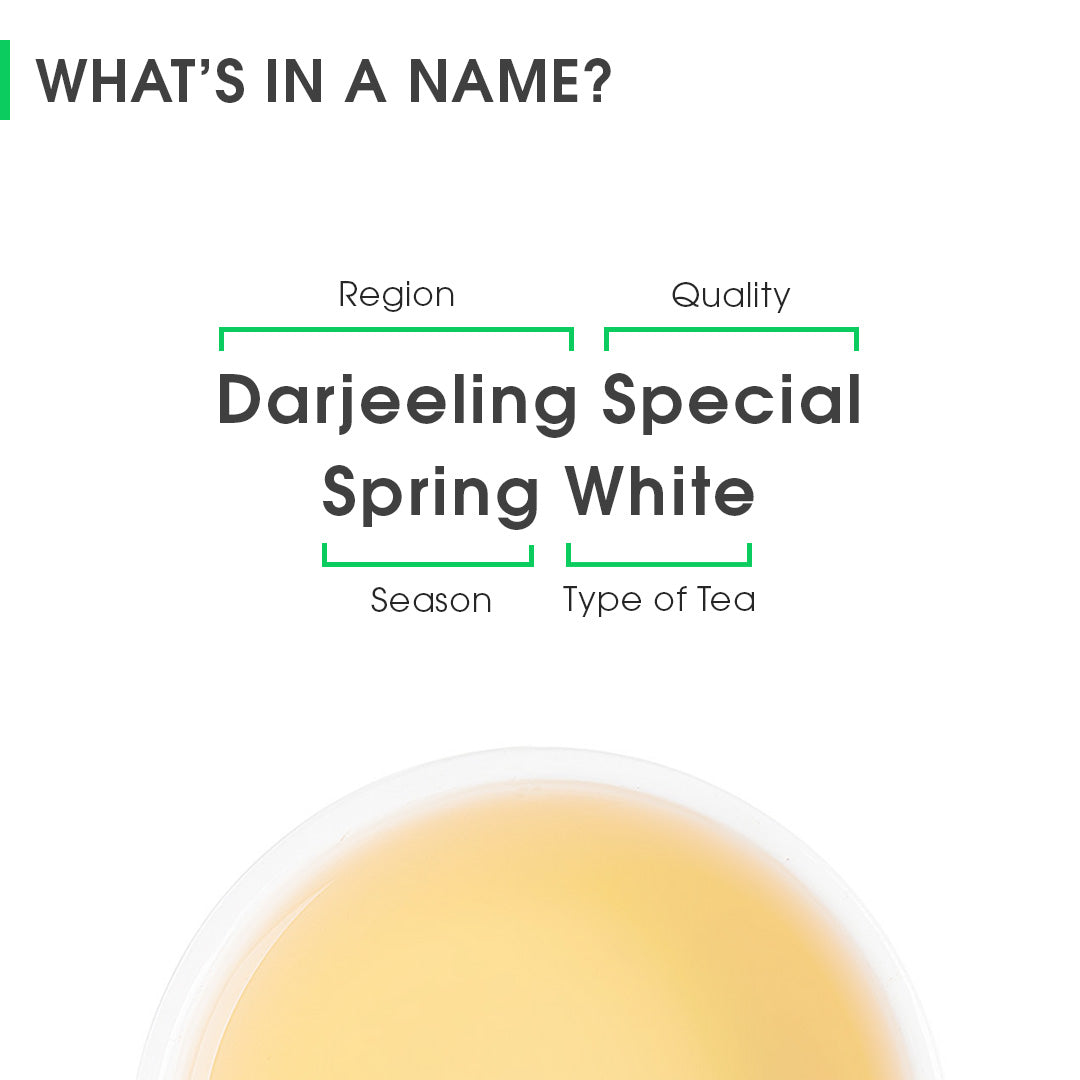 Buy 2026 Darjeeling Special Spring White Tea Online | Teabox