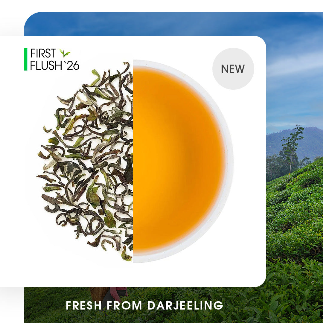 Buy Darjeeling Tea Online | 2026 Harvest | Teabox