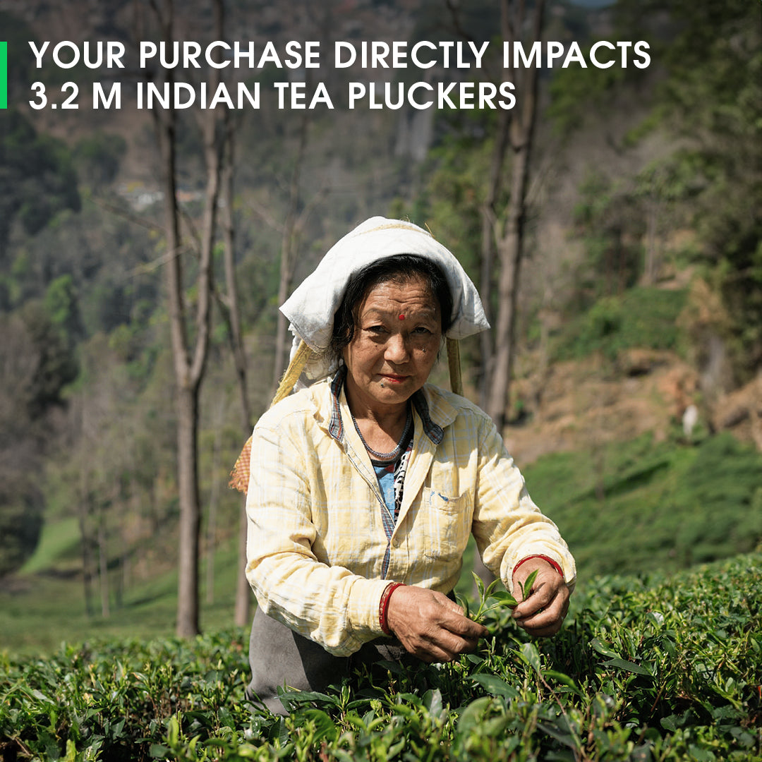 Darjeeling Spring Chinary Black