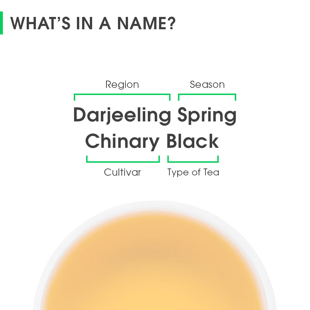 Darjeeling Spring Chinary Black