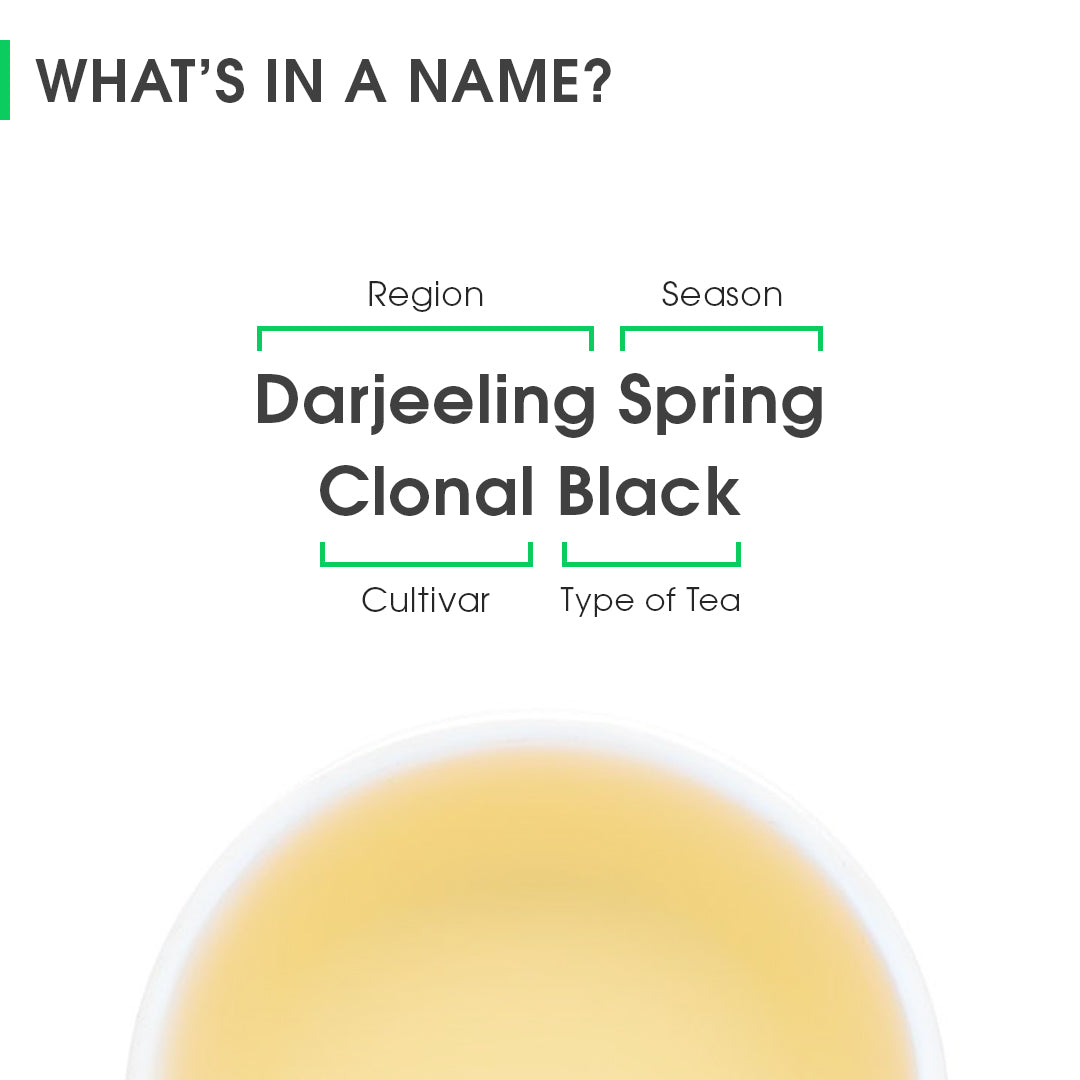 Darjeeling Spring Clonal Black