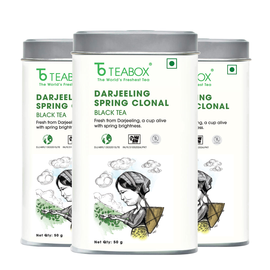Buy 2026 Darjeeling Spring Clonal Black Tea Online | Teabox