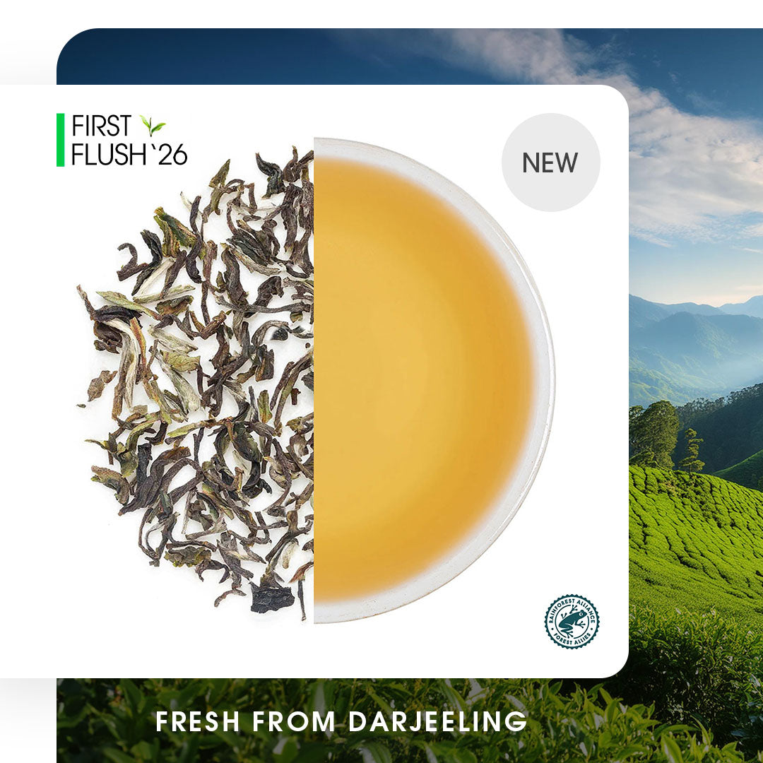 First/Spring Flush