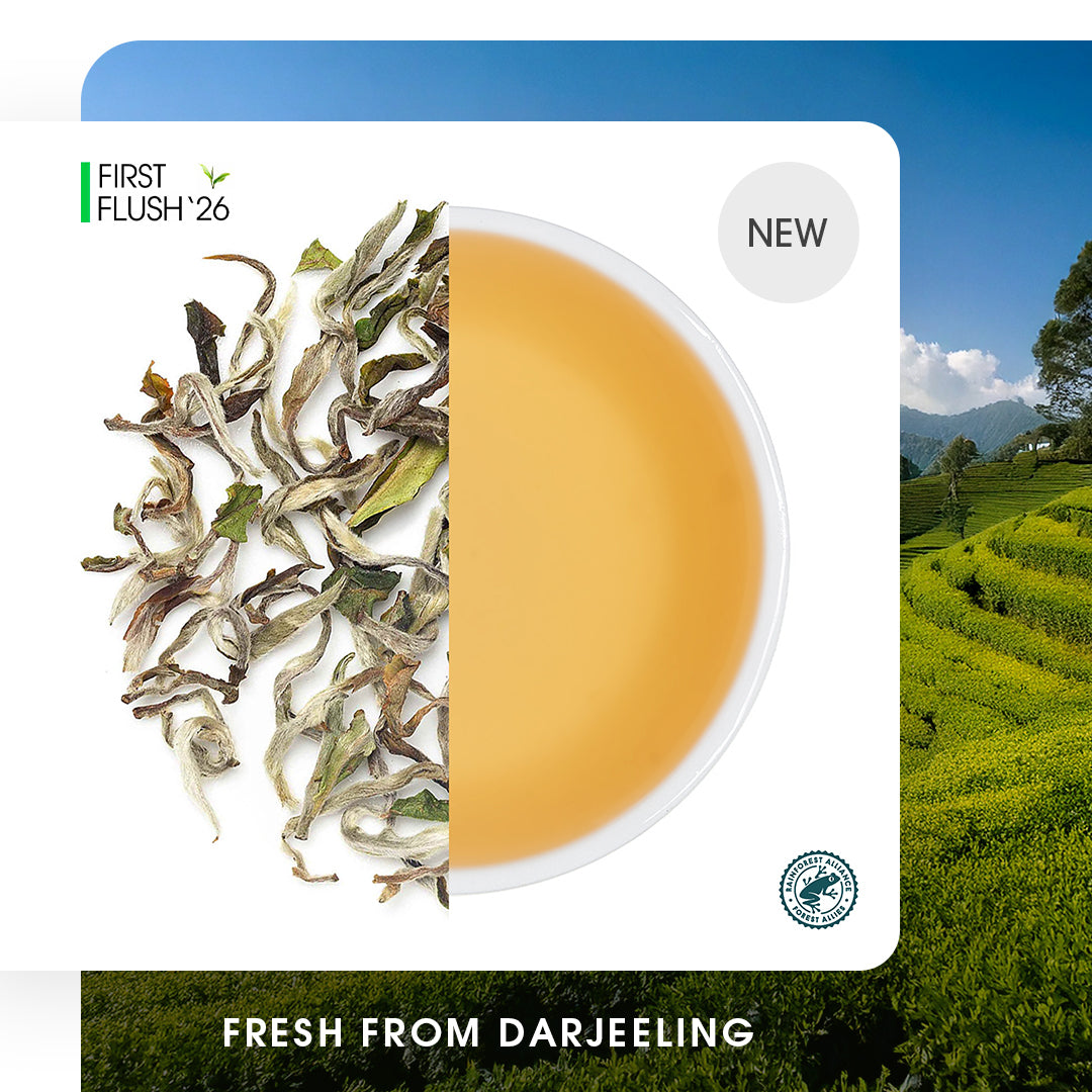 Darjeeling Upper Namring Spring Clonal Black (Limited Edition)