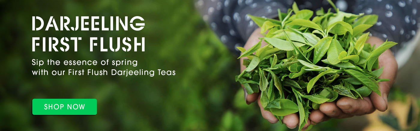 Teabox: Buy Delicious Indian Teas Online - Delivered Fresh