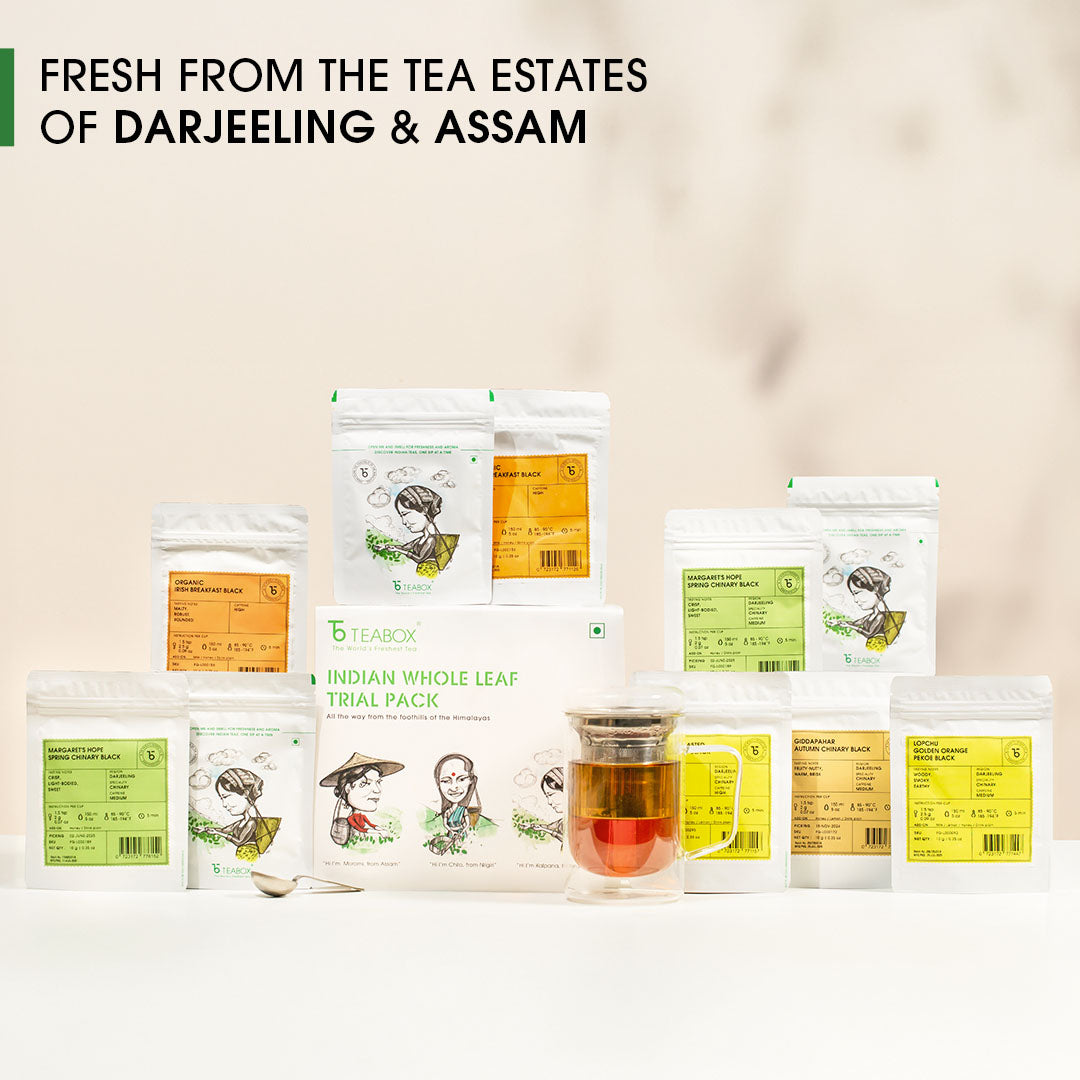 Indian Whole Leaf Trial Pack (Free Seidel Glass Tea Mug With Infuser & Ideal Teaspoon)