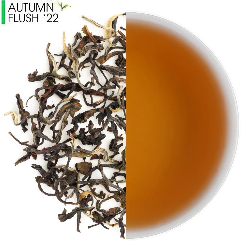 Meghalaya Lakyrsiew Autumn Clonal Black