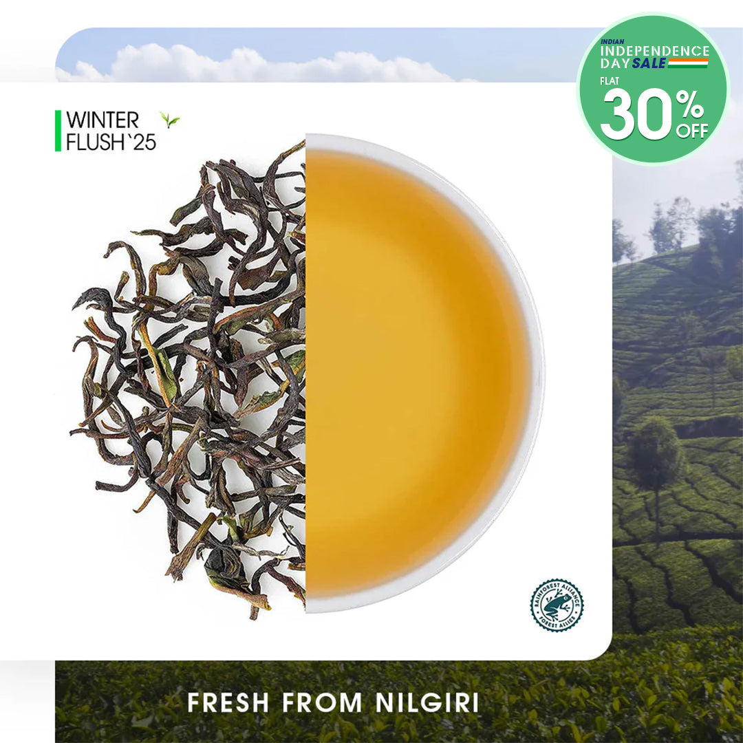 Nilgiri Billimalai Winter Frost Black