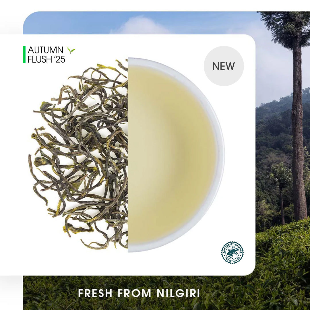 Nilgiri Glendale Autumn Twirl  Green