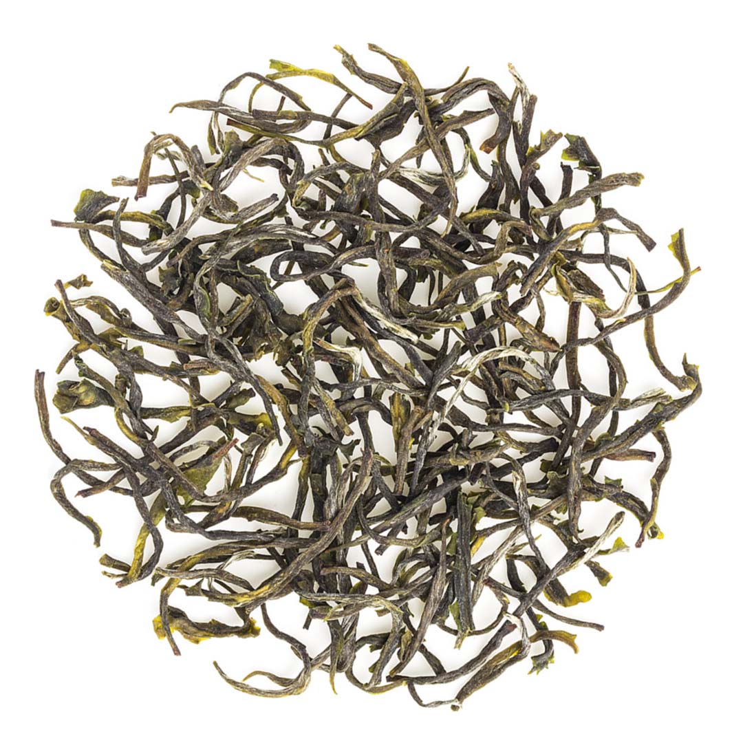 Nilgiri Glendale Autumn Twirl  Green