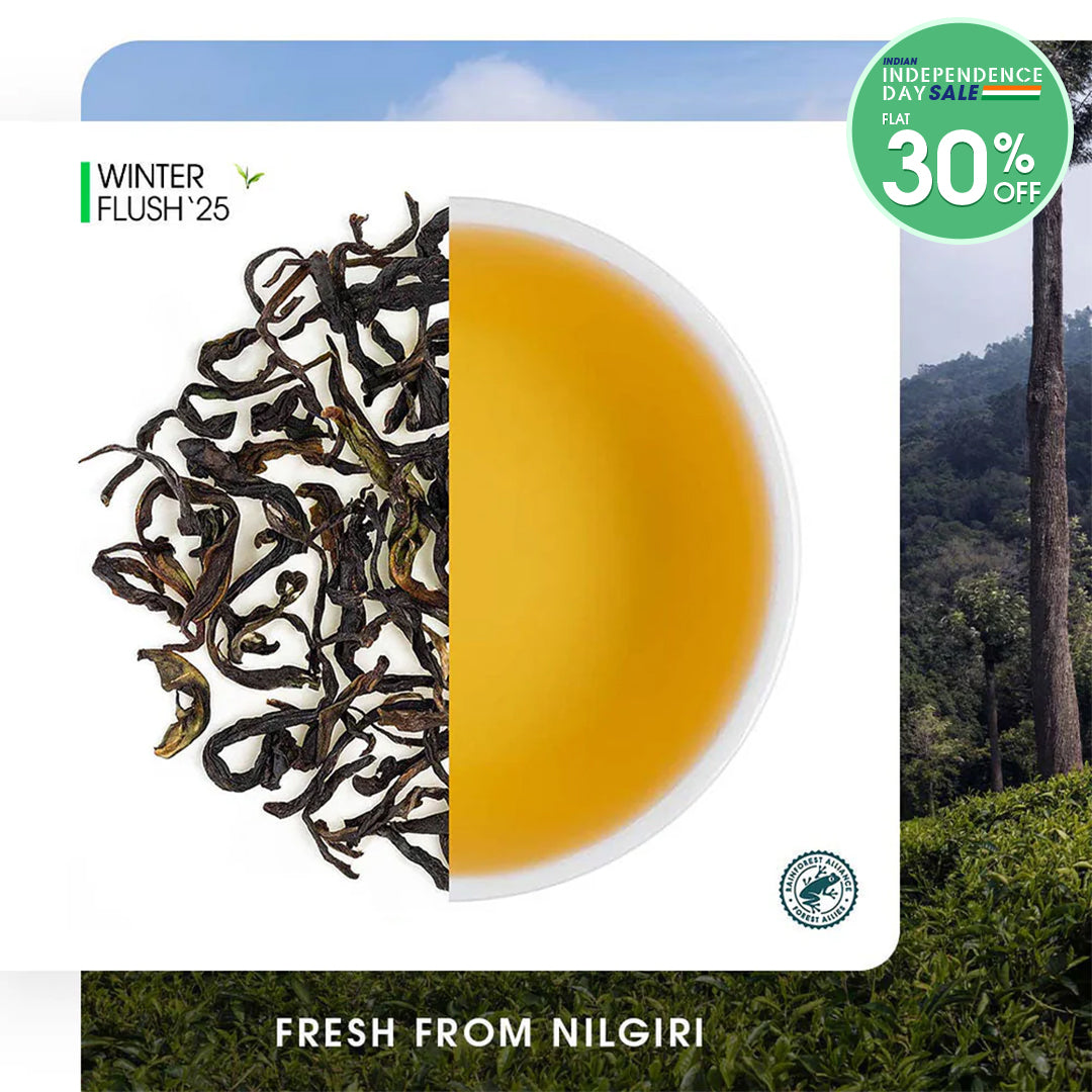 Nilgiri Glendale Winter Frost Twirl Black