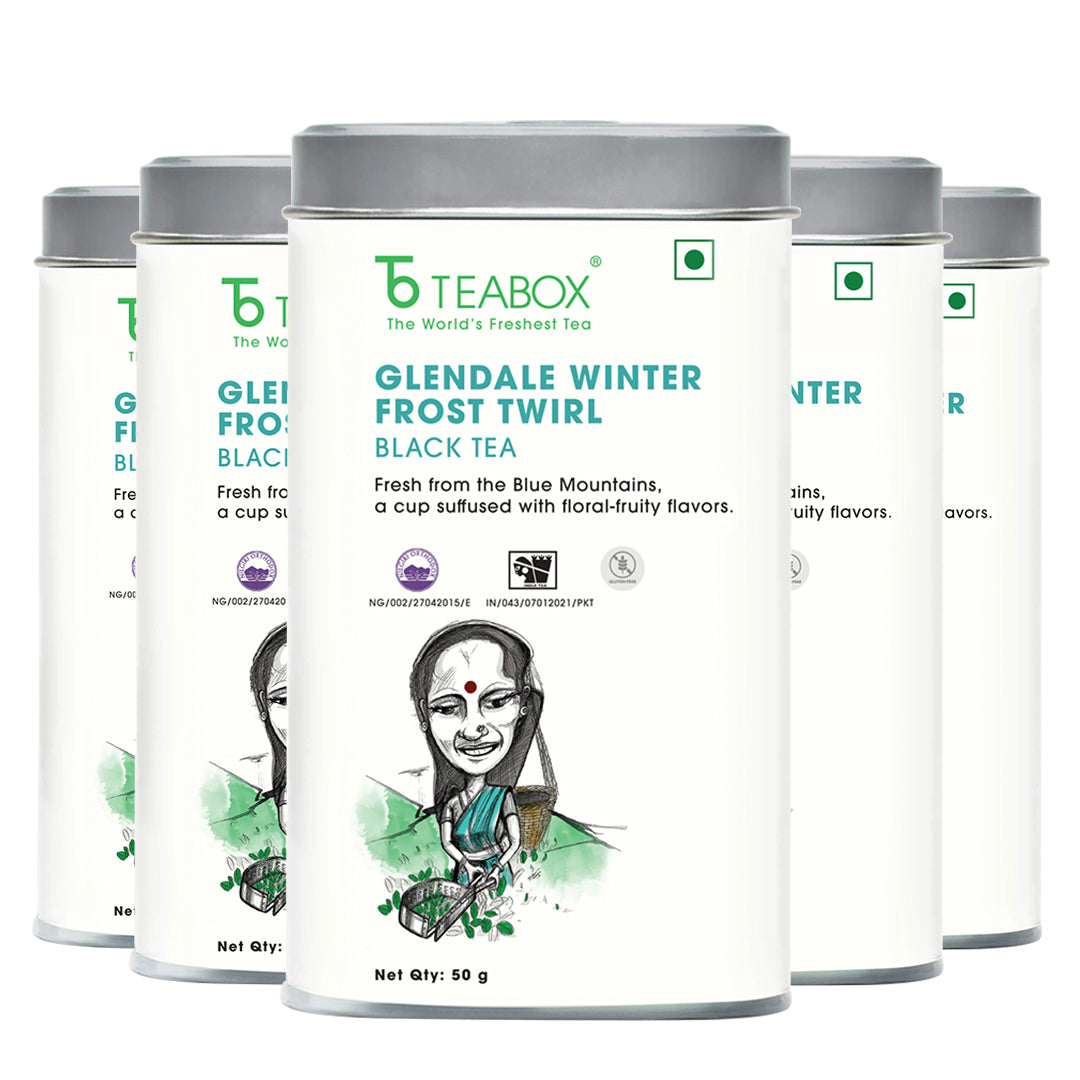 Nilgiri Glendale Winter Frost Twirl Black