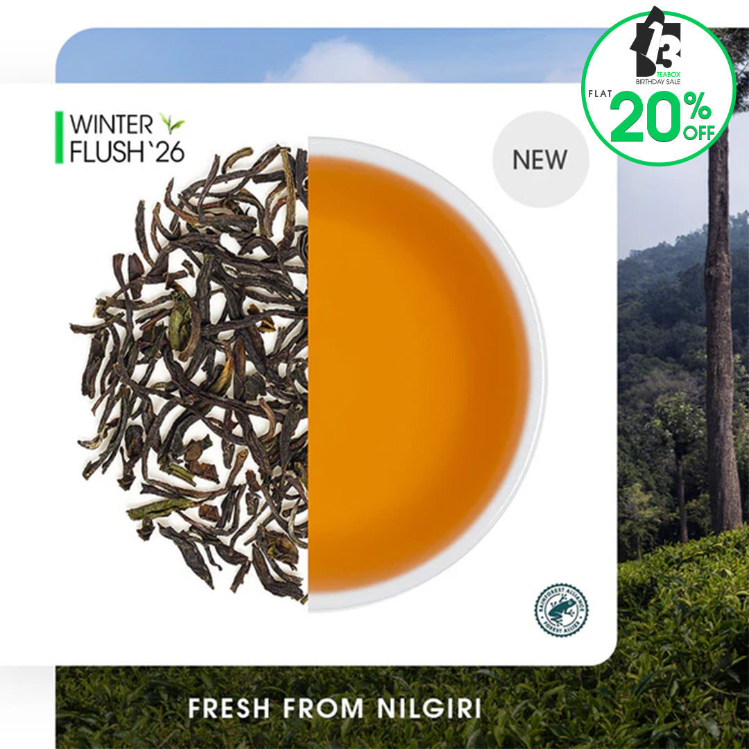 Nilgiri Havukal Winter Frost Black