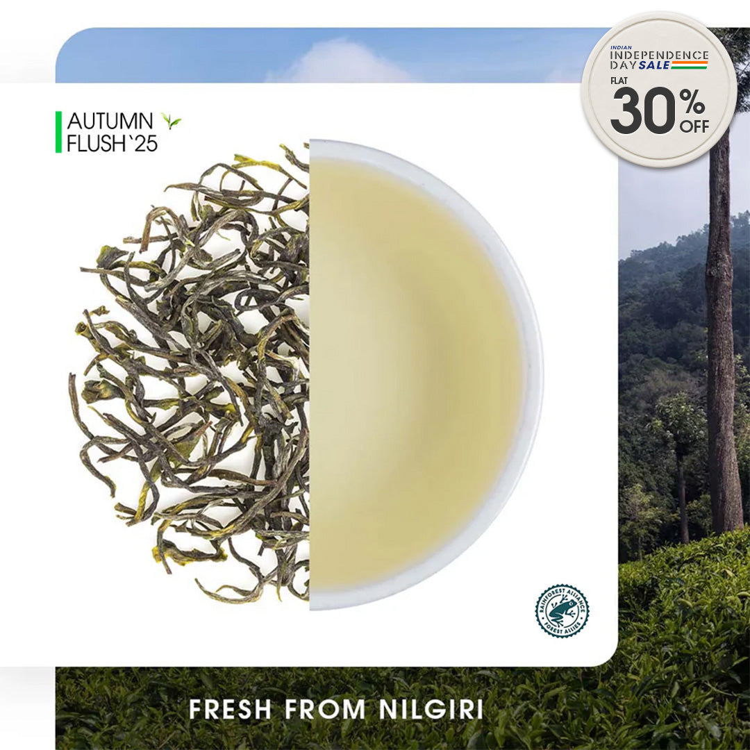 Nilgiri Glendale Autumn Twirl Green