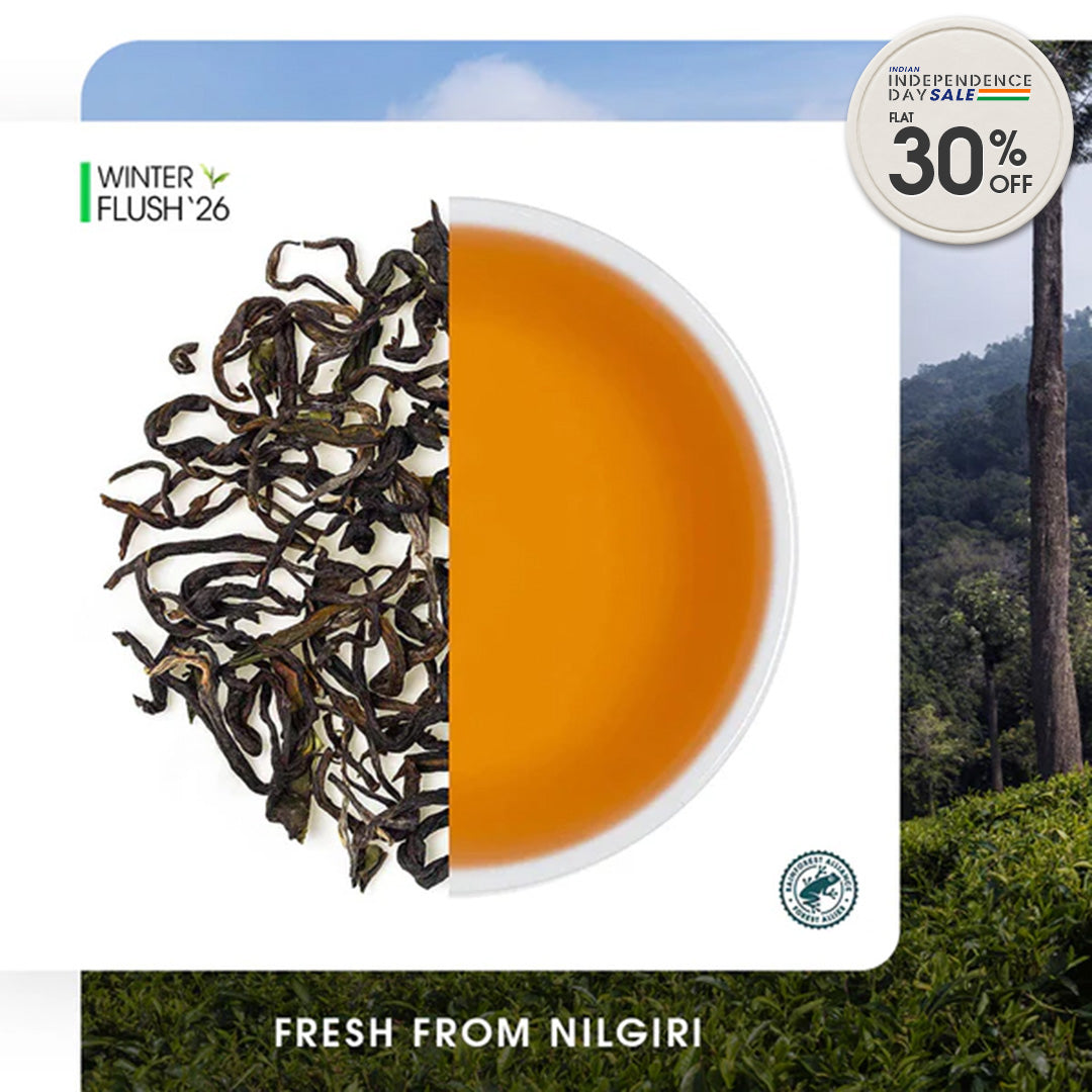 Nilgiri Glendale Winter Frost Twirl Black