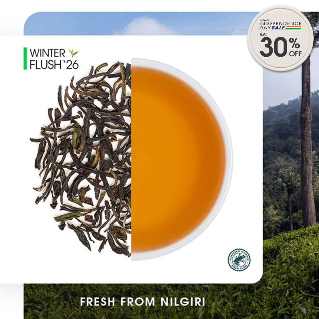 Nilgiri Havukal Winter Frost Black