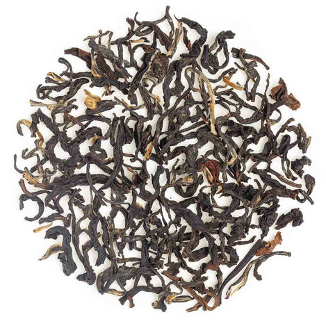 Darjeeling Oaks Summer Chinary Black