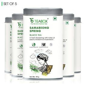 Darjeeling Samabeong Spring Black