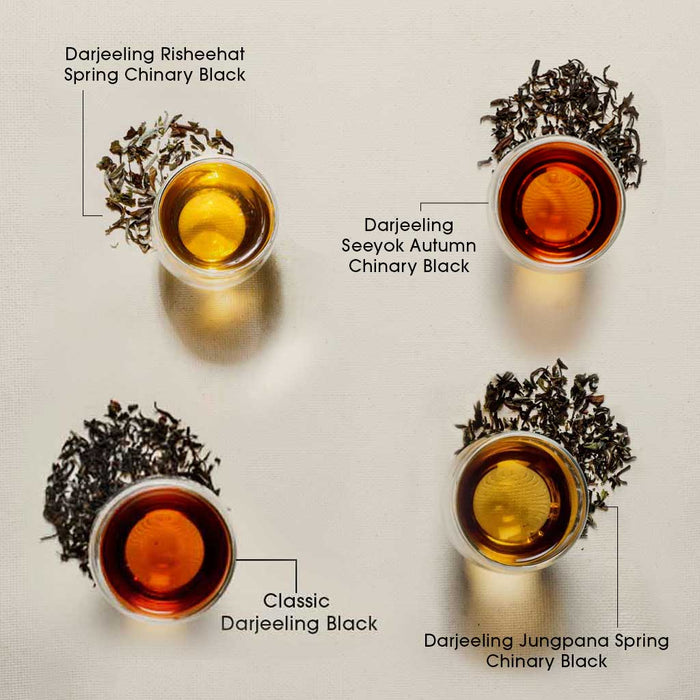 Buy Tea Samples Online | 2024 Harvest | Teabox