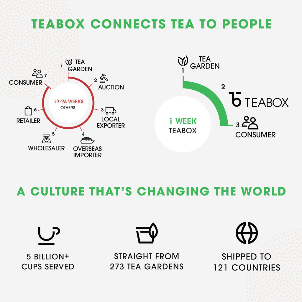 Detox Kahwa Green (25 Teabags)