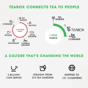 Detox Kahwa Green (25 Teabags)