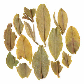 Darjeeling Spring Clonal Black