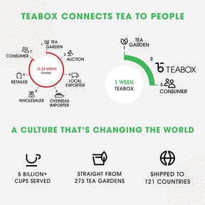 Teabox Green Tea Trial Pack (Teabags)